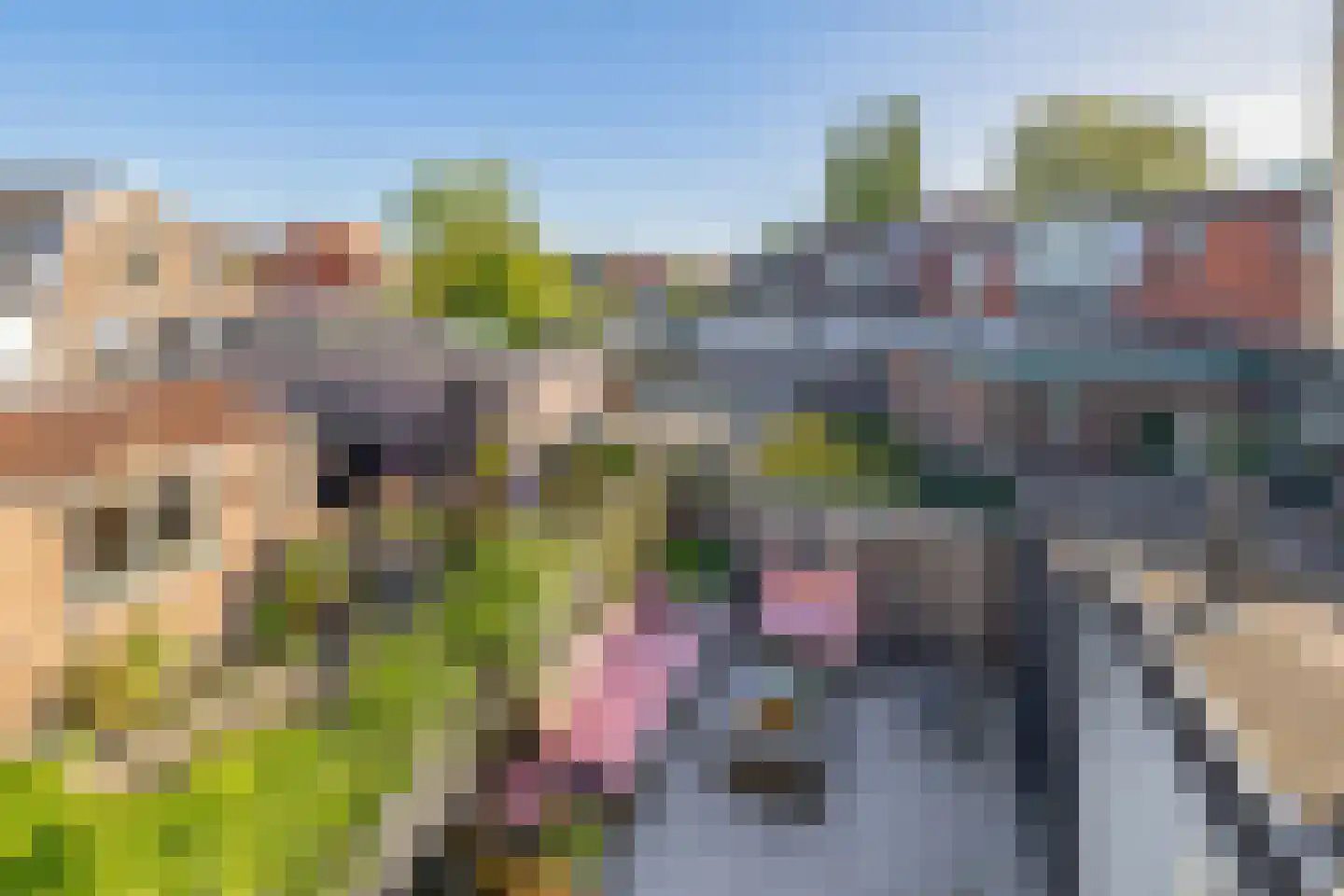 Riouwstraat 7 Wormerveer thumbnail 32