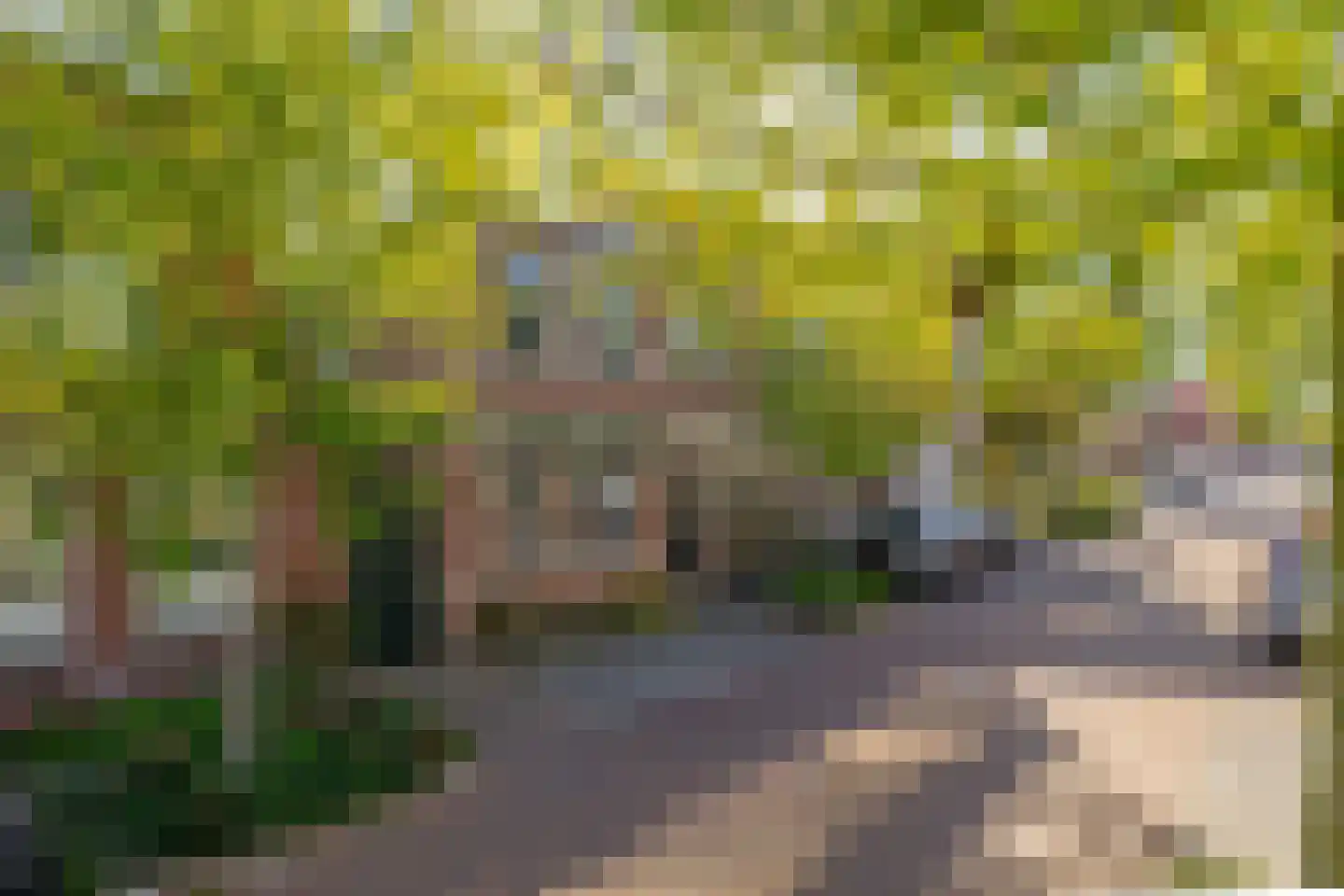 Riouwstraat 7 Wormerveer thumbnail 6