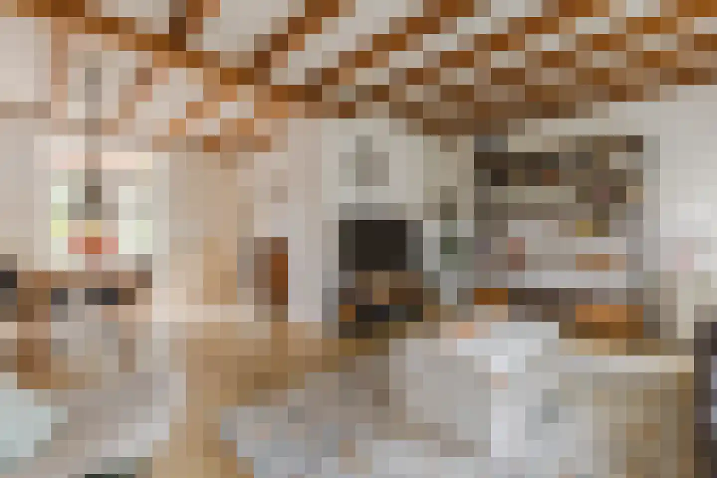 Riouwstraat 70 Wormerveer thumbnail 14