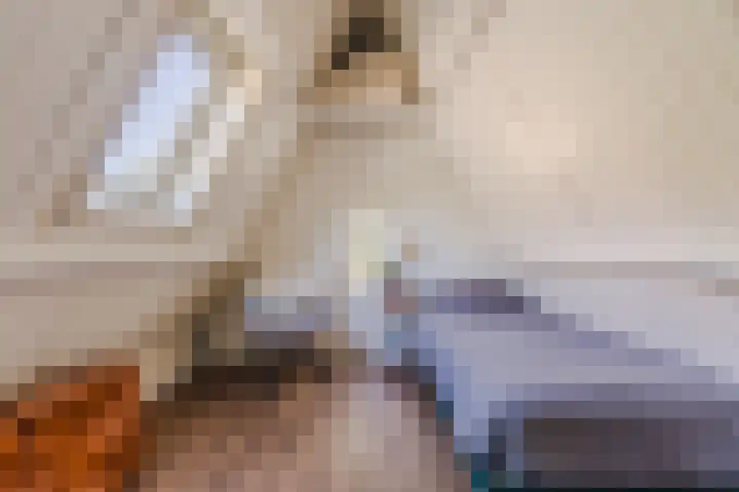 Riouwstraat 70 Wormerveer thumbnail 37
