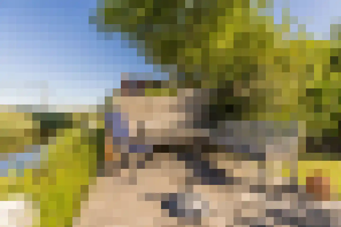 Riouwstraat 70 Wormerveer thumbnail 4