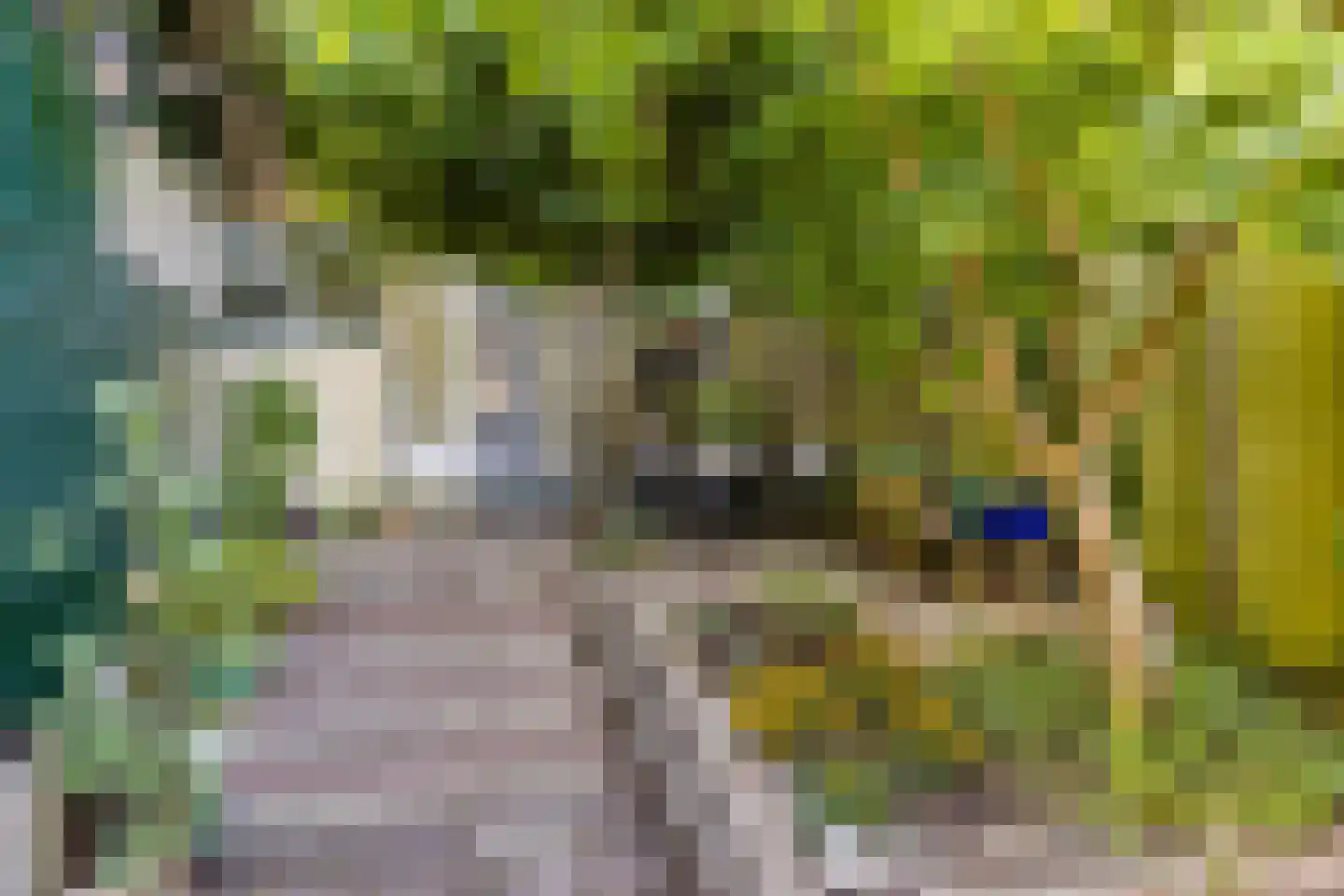 Riouwstraat 70 Wormerveer thumbnail 40