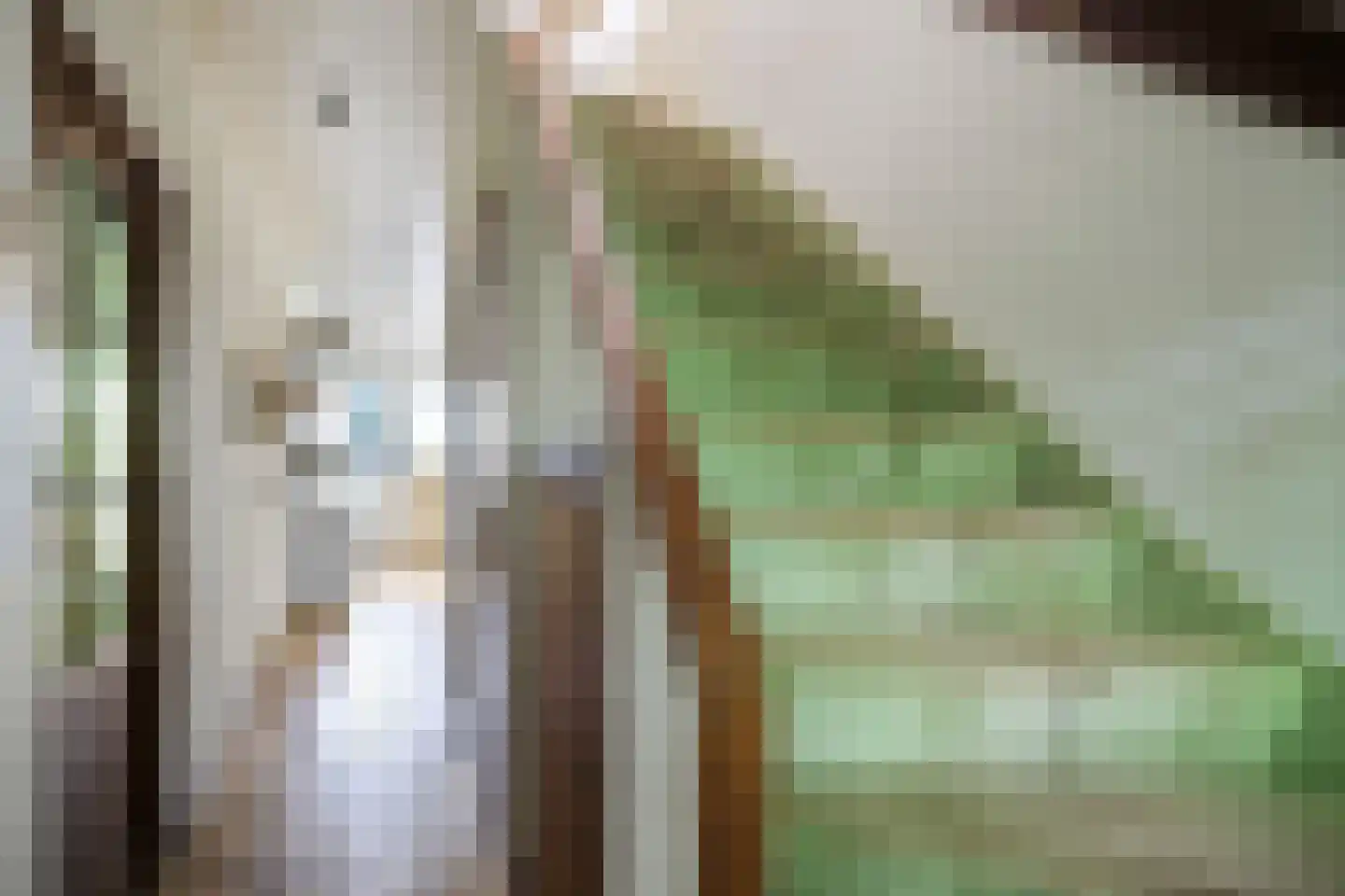 Riouwstraat 74 Wormerveer thumbnail 15