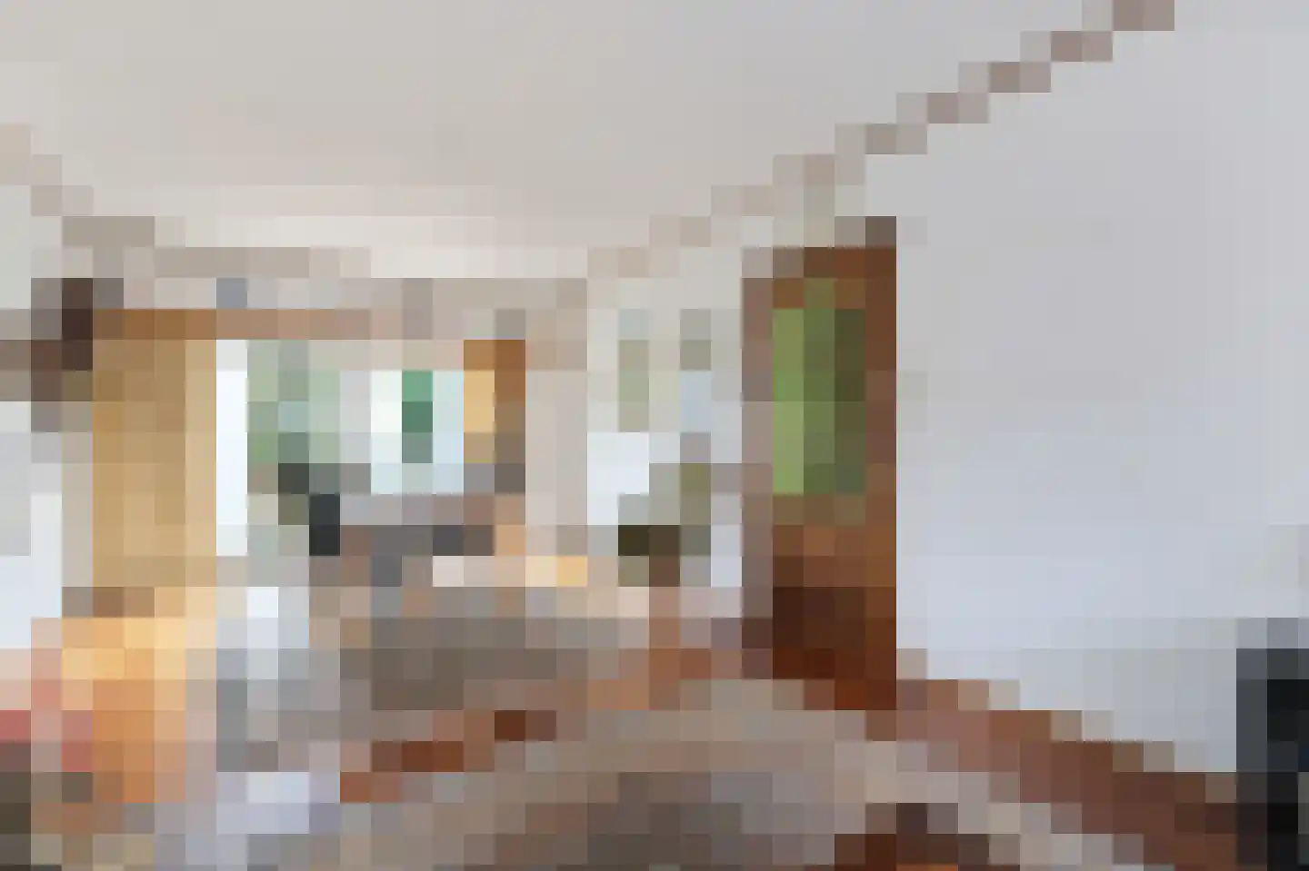 Riouwstraat 74 Wormerveer thumbnail 5