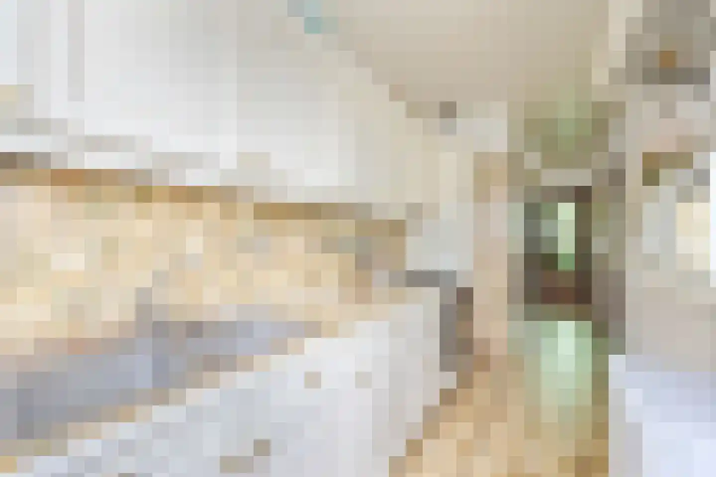 Riouwstraat 74 Wormerveer thumbnail 7