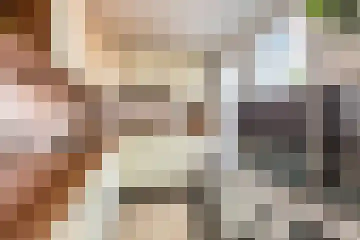 Riouwstraat 77 Utrecht thumbnail 13