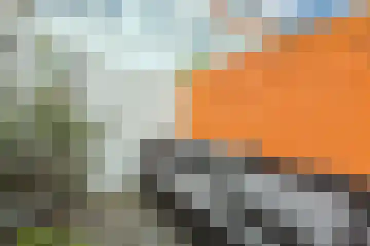 Riouwstraat 77 Utrecht thumbnail 15