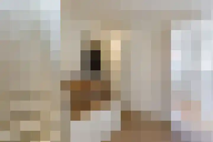 Riouwstraat 77 Utrecht thumbnail 32