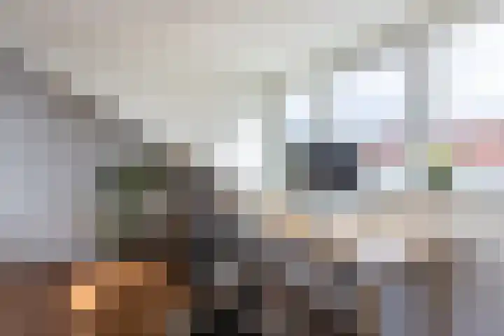 Riouwstraat 77 Utrecht thumbnail 34