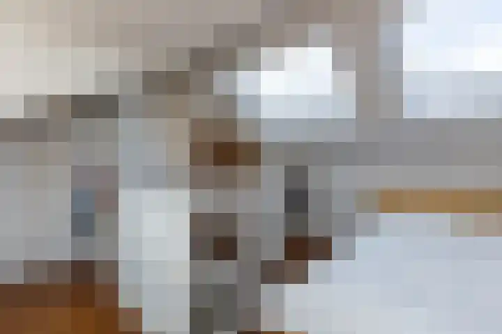 Riouwstraat 77 Utrecht thumbnail 35