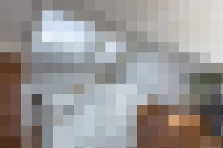 Riouwstraat 77 Utrecht thumbnail 37