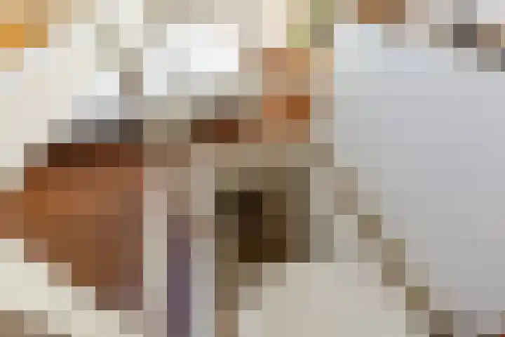 Riouwstraat 77 Utrecht thumbnail 38