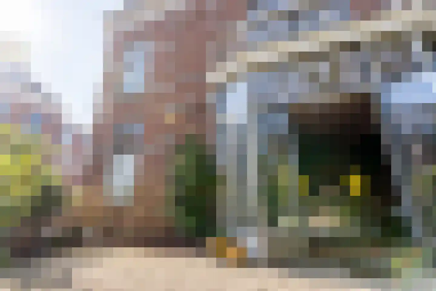 Riouwstraat 8 Den Haag thumbnail 10