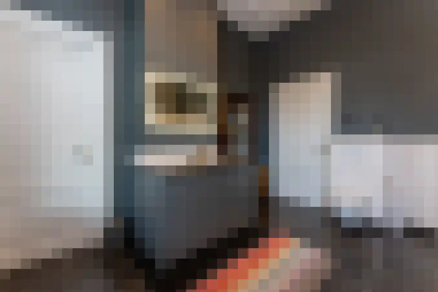 Riouwstraat 8 Den Haag thumbnail 32