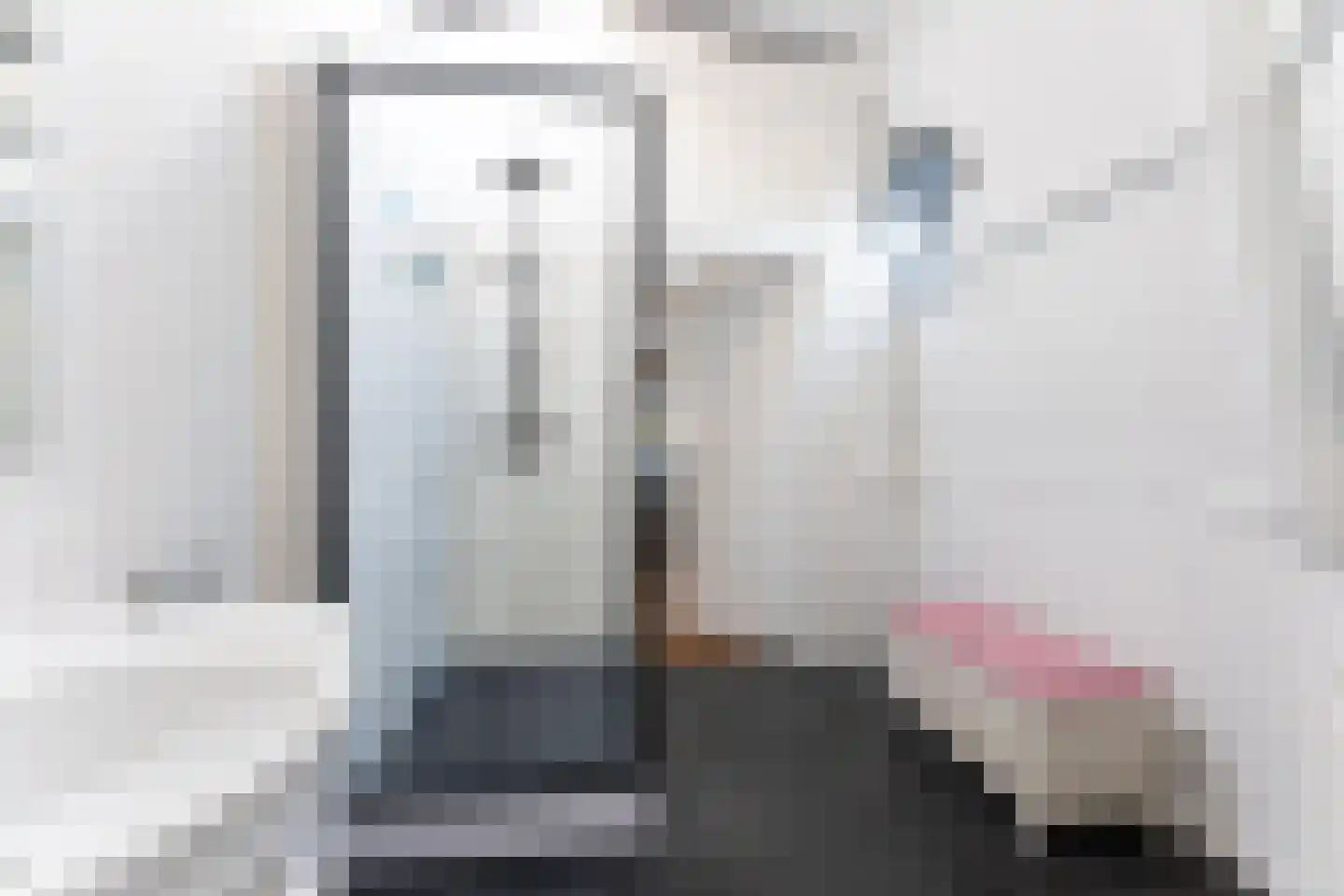 Riouwstraat 8 Den Haag thumbnail 49