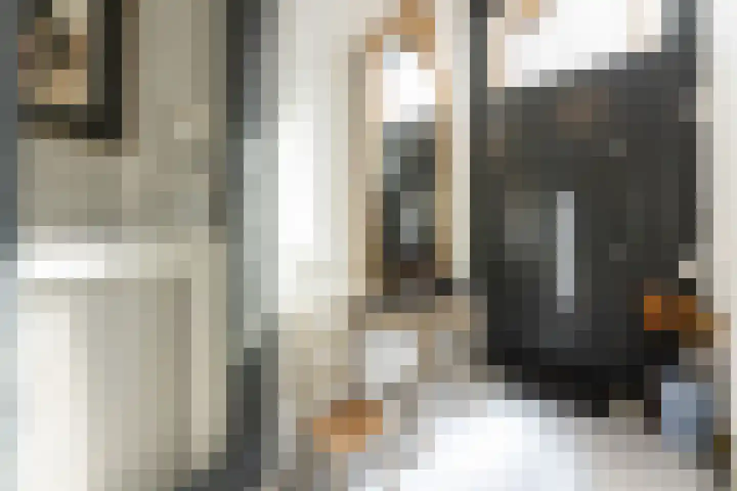 Riouwstraat 8 Den Haag thumbnail 51
