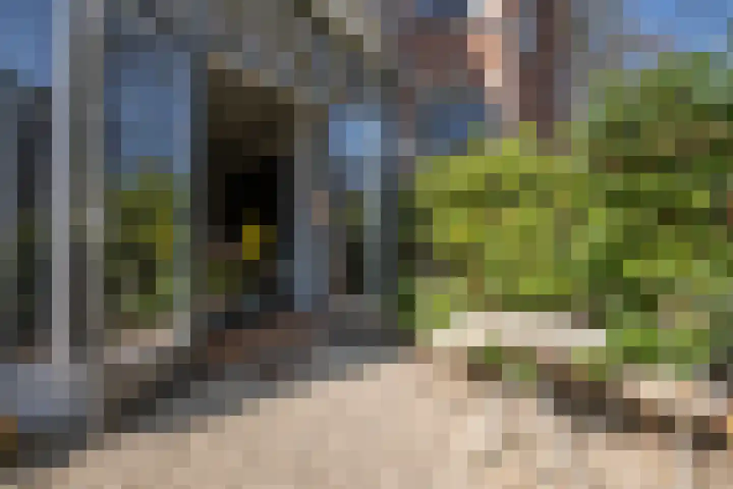 Riouwstraat 8 Den Haag thumbnail 9