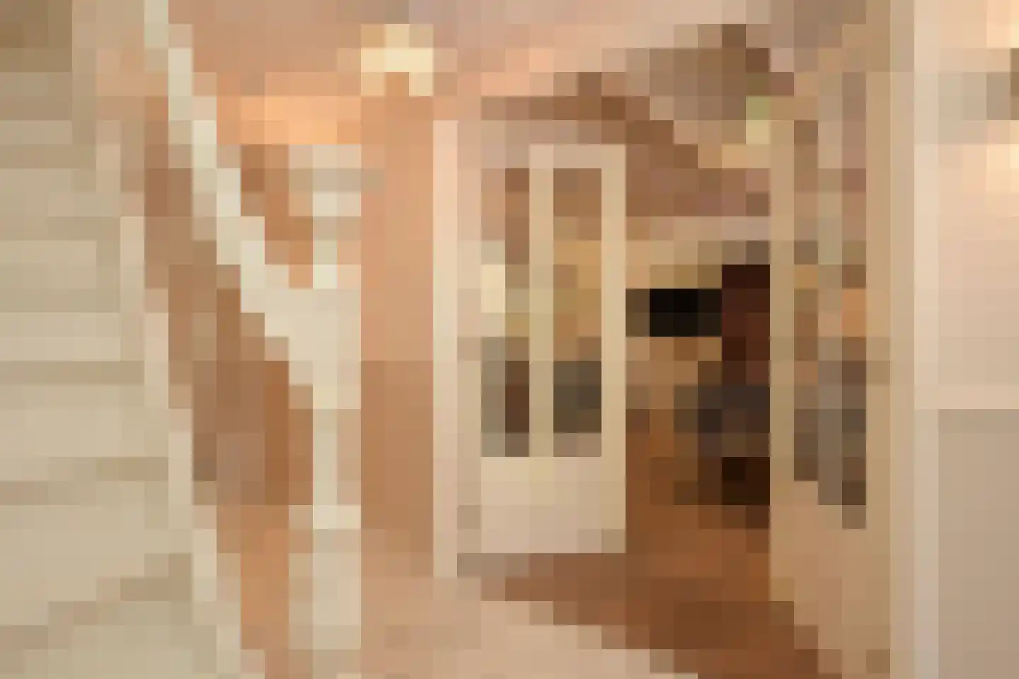 Riouwstraat 83 Den Haag thumbnail 10