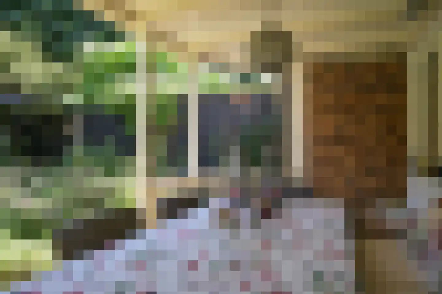 Riouwstraat 83 Den Haag thumbnail 22
