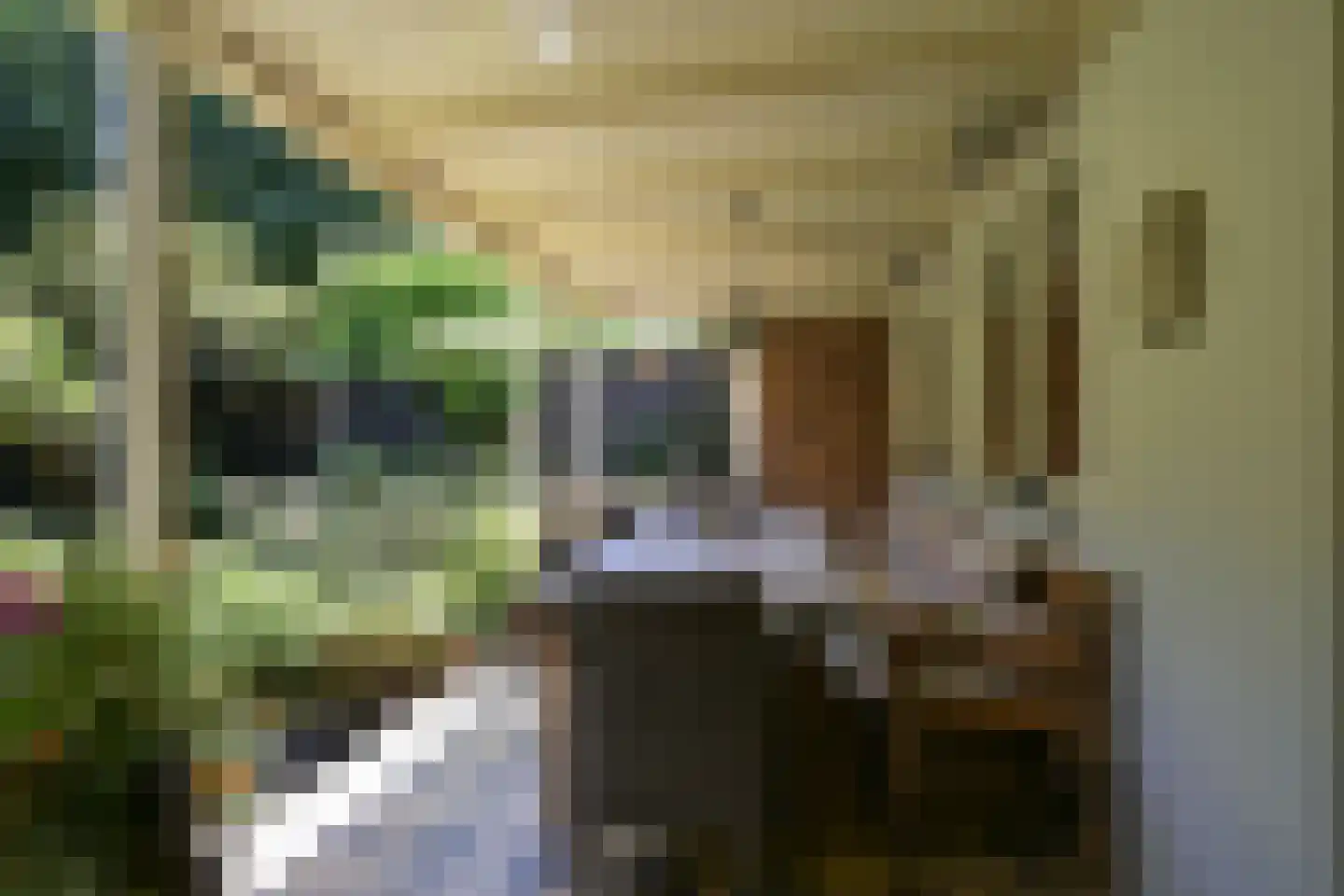 Riouwstraat 83 Den Haag thumbnail 23