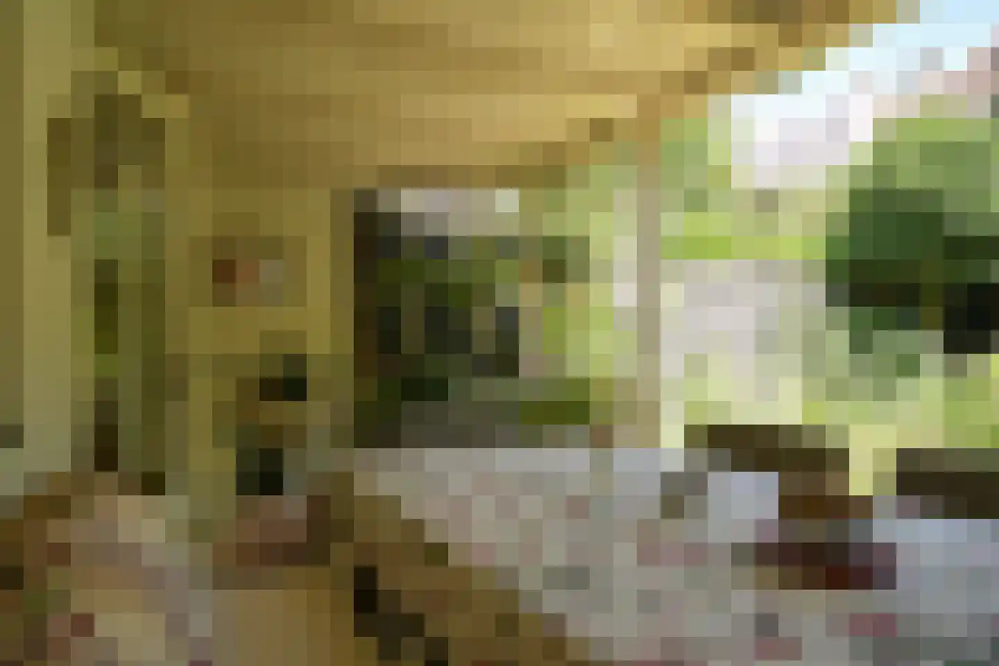 Riouwstraat 83 Den Haag thumbnail 4