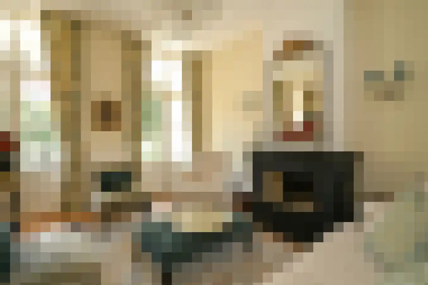 Riouwstraat 83 Den Haag thumbnail 41