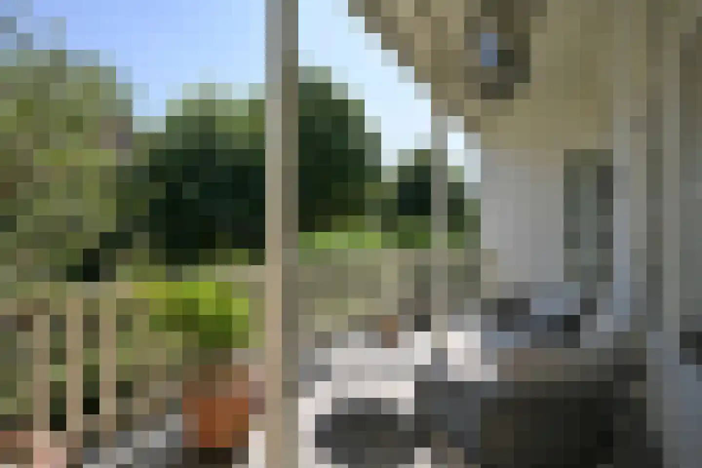 Riouwstraat 83 Den Haag thumbnail 48