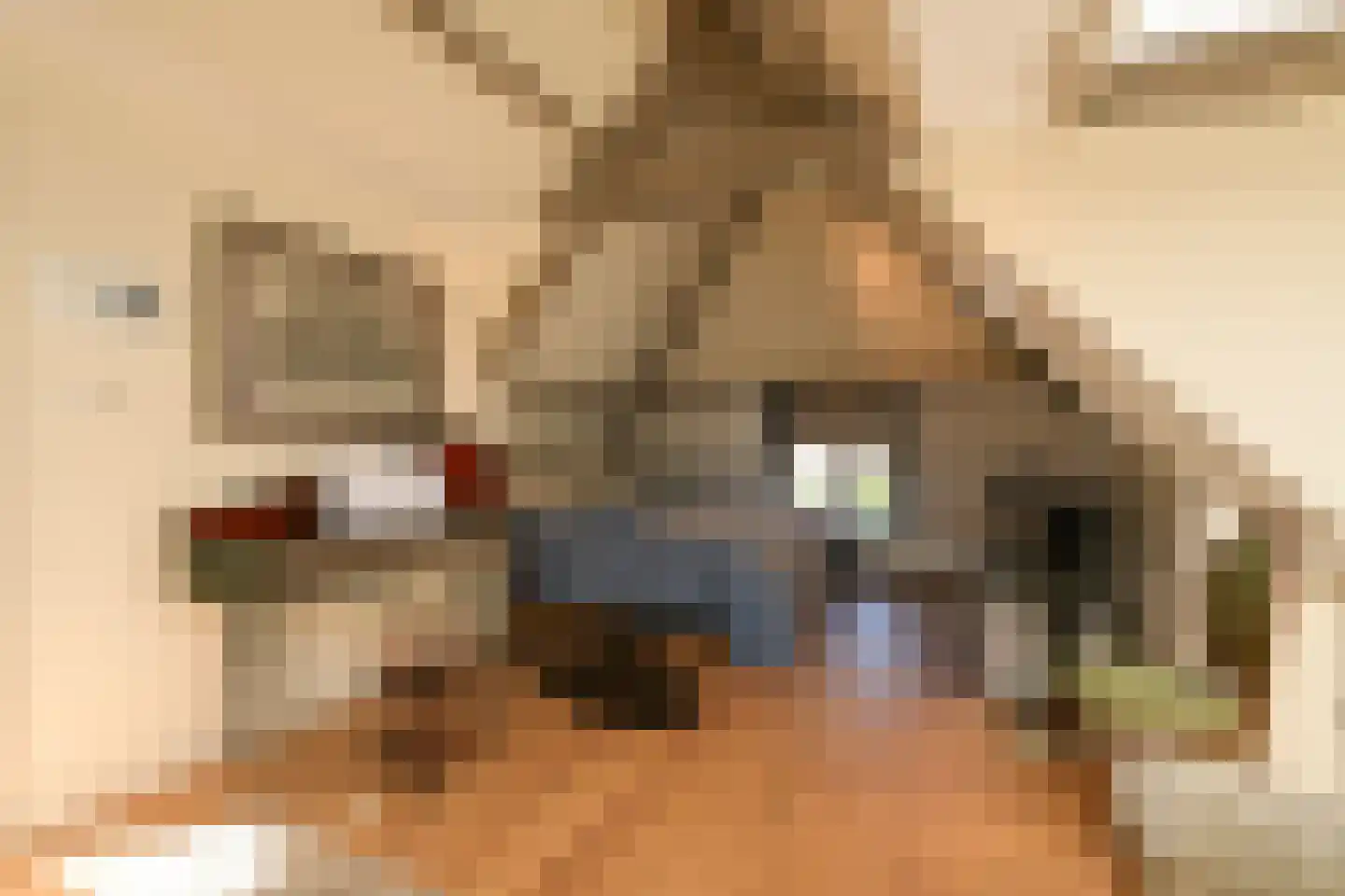 Riouwstraat 83 Den Haag thumbnail 69