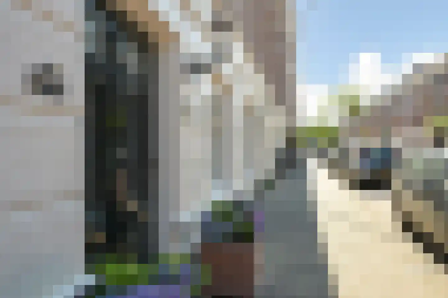 Riouwstraat 83 Den Haag thumbnail 7