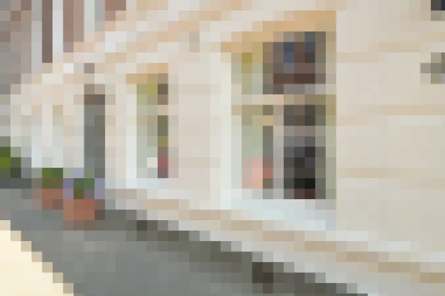 Riouwstraat 83 Den Haag thumbnail 8