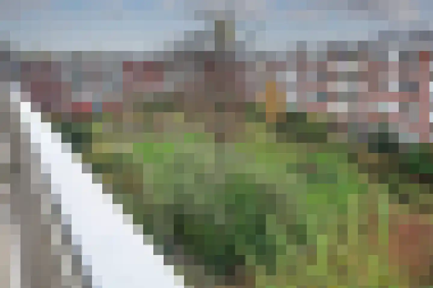 Riouwstraat 84 Amsterdam thumbnail 14