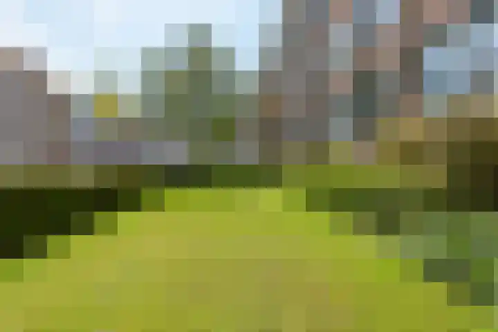 Riouwstraat 84 B Den Haag thumbnail 27