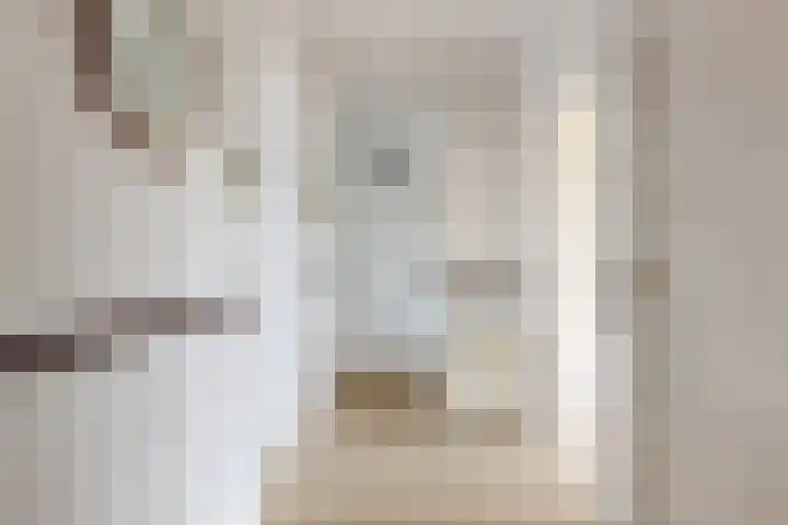 Riouwstraat 84 B Den Haag thumbnail 8