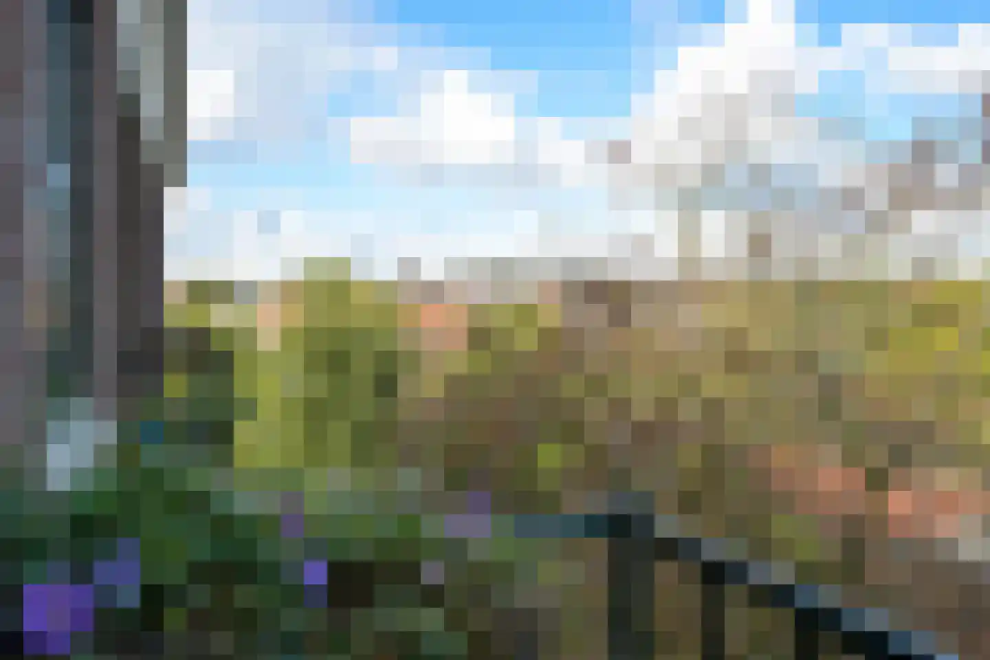 Riouwstraat 84 C Den Haag thumbnail 31
