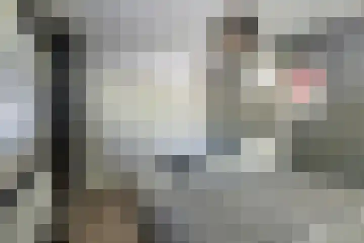 Riouwstraat 92 Wormerveer thumbnail 30