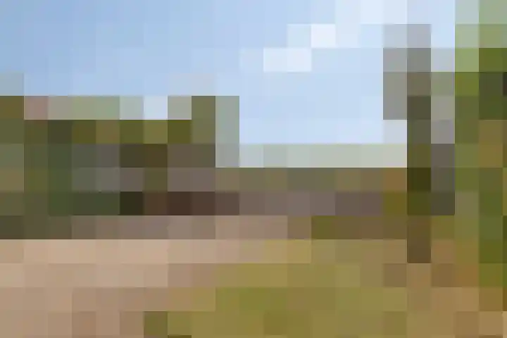 Riouwstraat 92 Wormerveer thumbnail 36