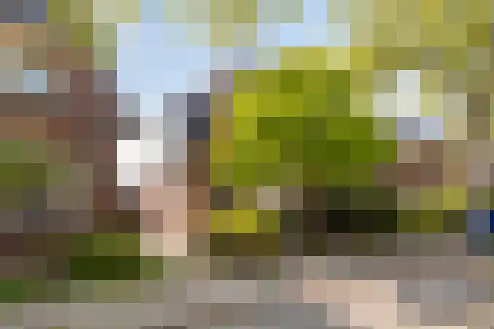 Riouwstraat 92 Wormerveer thumbnail 37