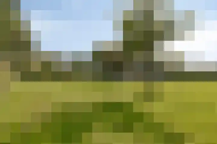 Riouwstraat 92 Wormerveer thumbnail 38