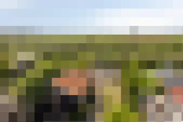 Riouwstraat 92 Wormerveer thumbnail 6