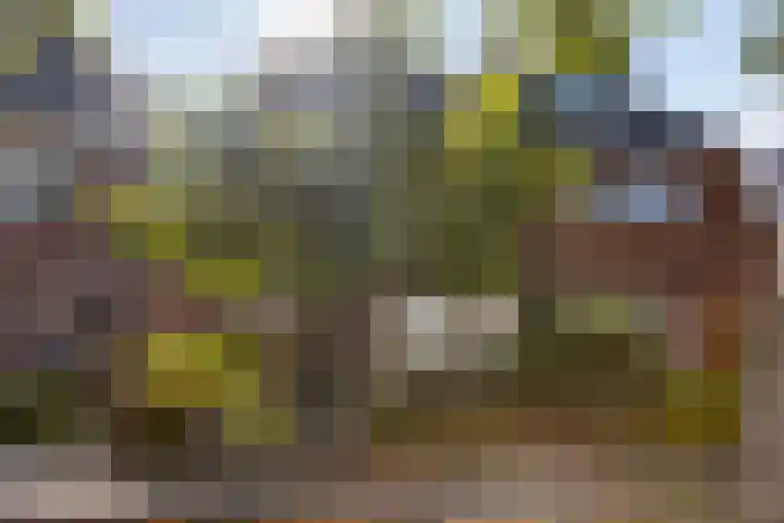 Riouwstraat 92 Wormerveer thumbnail 7
