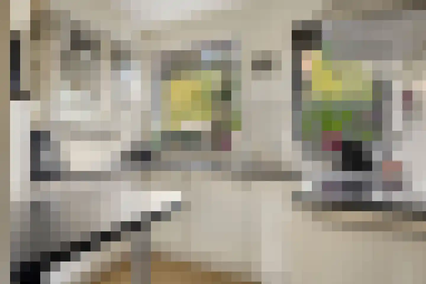 Ripaertsbeemd 11 Breda thumbnail 12