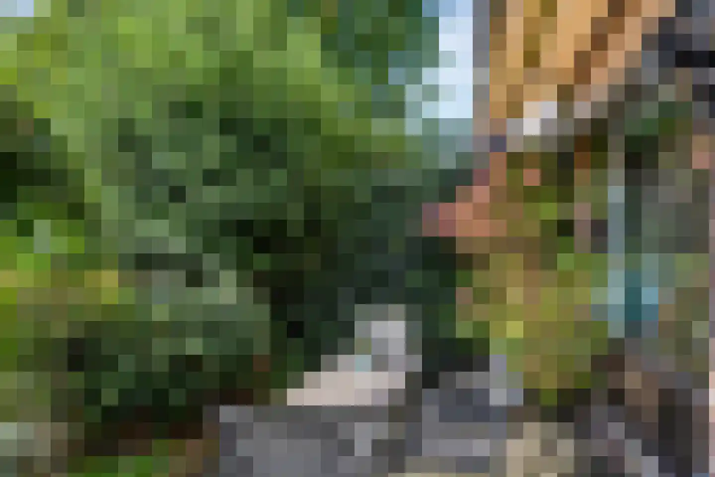 Ripaertsbeemd 11 Breda thumbnail 24