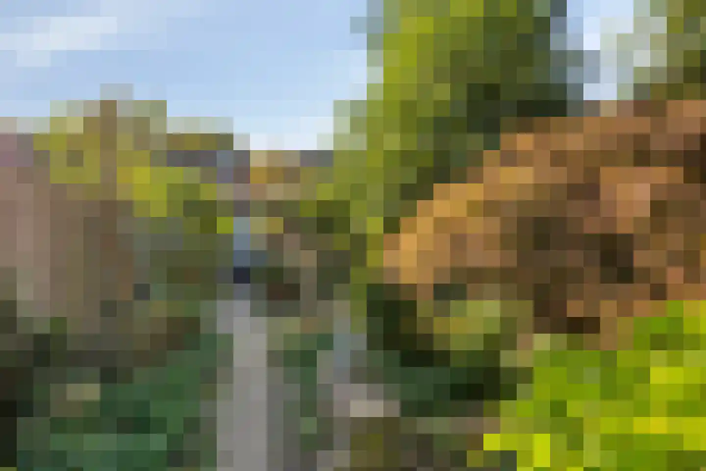 Ripaertsbeemd 11 Breda thumbnail 26