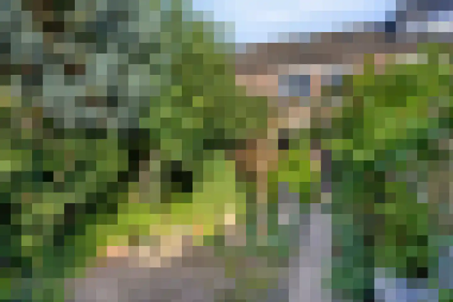Ripaertsbeemd 11 Breda thumbnail 27