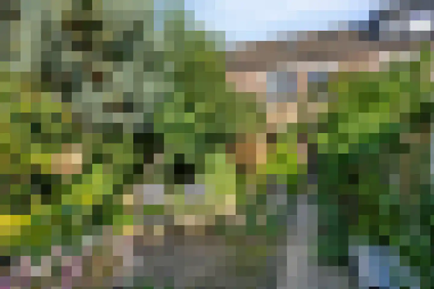 Ripaertsbeemd 11 Breda thumbnail 5