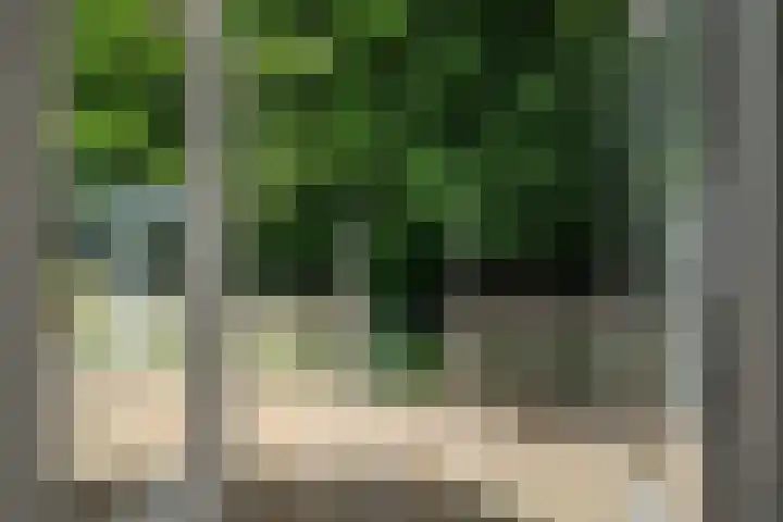 Riperwei 10 Tijnje thumbnail 11