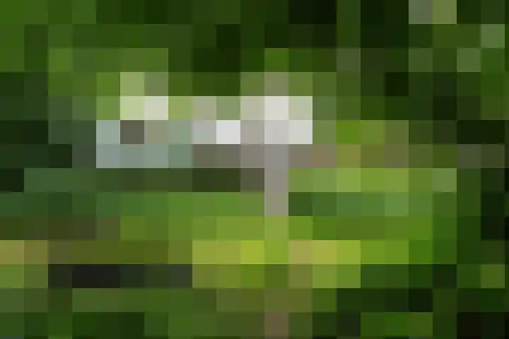 Riperwei 10 Tijnje thumbnail 16