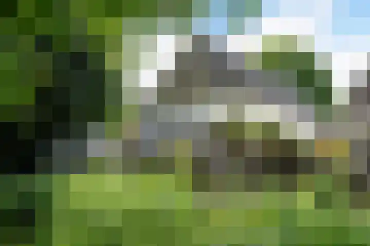 Riperwei 10 Tijnje thumbnail 17