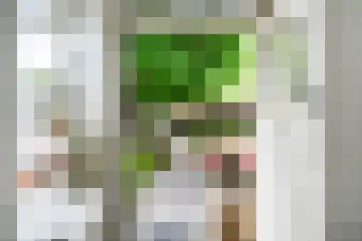 Riperwei 10 Tijnje thumbnail 18