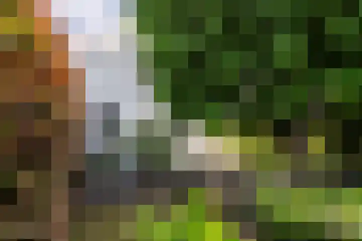 Riperwei 10 Tijnje foto 2